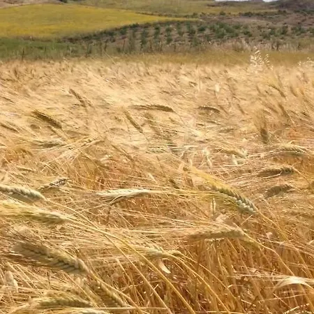 Vakantieboerderij Agriturtismo Serra Pernice